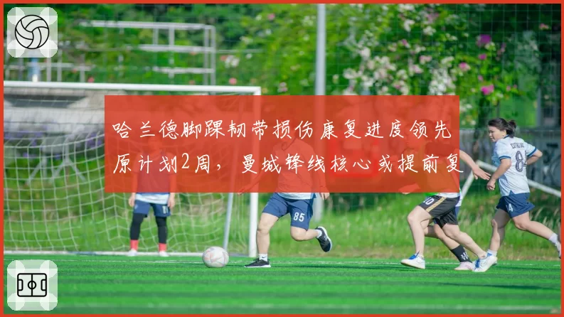 哈兰德脚踝韧带损伤康复进度领先原计划2周，曼城锋线核心或提前复出战纽卡