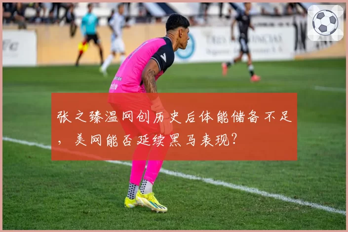 张之臻温网创历史后体能储备不足，美网能否延续黑马表现？