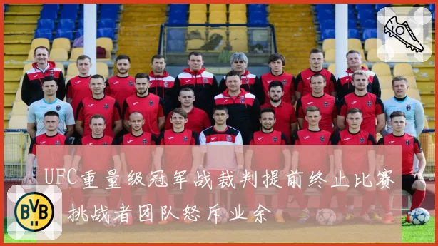UFC重量级冠军战裁判提前终止比赛，挑战者团队怒斥业余