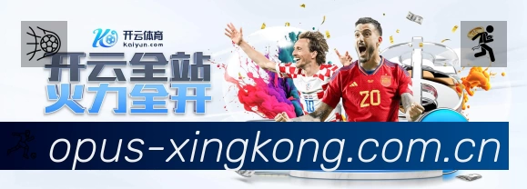 企业概况